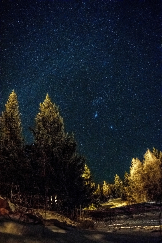 Orion drowning in stars