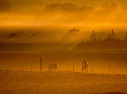 Summer night on Iceland